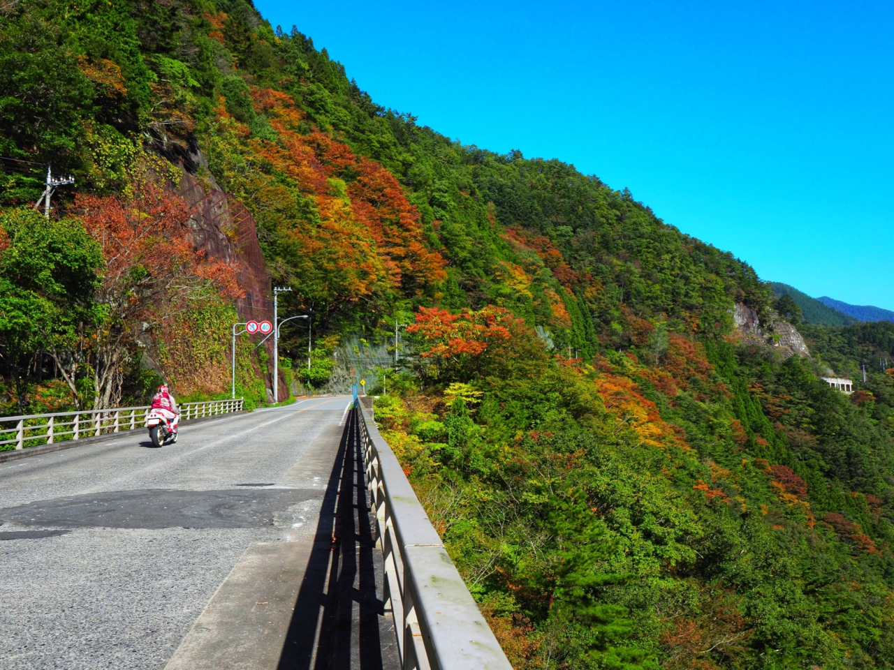 秋にオススメの山梨ドライブコース5選 日帰りでも行ける 秋ならではの絶景 を堪能する紅葉ドライブ 1 3 車と旅のwebメディア Mobility Story モビスト