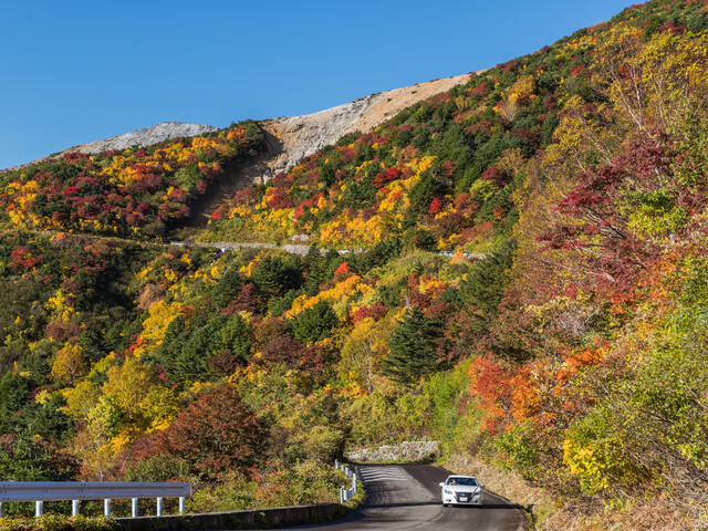 紅葉ドライブと相性抜群！ 紅葉狩りが楽しめる道の駅に、紅葉の名所への道中、名所の後の立ち寄りにオススメ